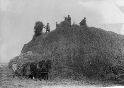 I. WK - Eastern Front - German soldiers (photo)