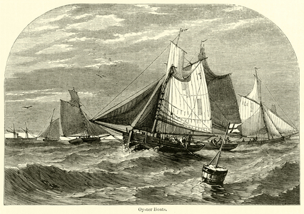 Oyster Boats (engraving)