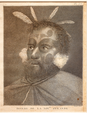 Portrait of a New Zealand man (engraving)