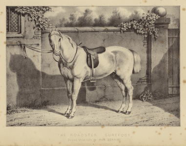 The Roadster Surefoot (colour litho)