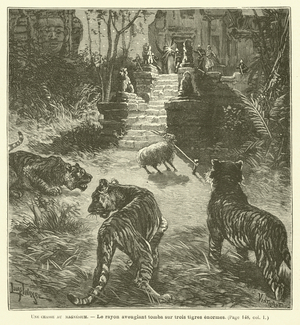 Une chasse au magnesium (engraving)