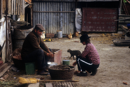 In a village near Timisoara Society Zeitgeist Romania ..., 1990 (photo)