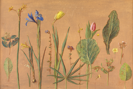 Spring Flowers and Leaves, 2002 (oil on board)