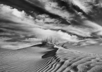 Veins of Silence I, 2021 (photo)
