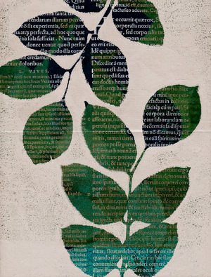 Leaves, 2024 (monotype)