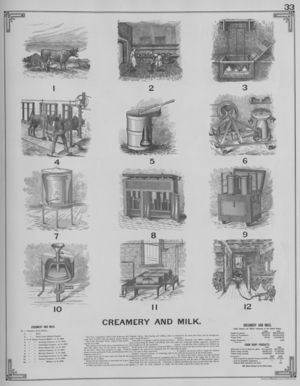 Creamery And Milk