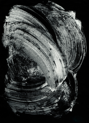 Wagner_148, 2022 (monotype)