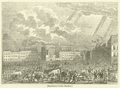 Smithfield Cattle Market (engraving)