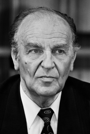 Visit of the President of Bosnia-Herzegovina Alija Izetbegovic in Bonn, 1993 (photo)