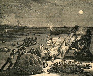 Night fishing for sea turtles. 1868 (engraving)