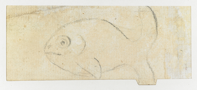 Sketch of a fish.