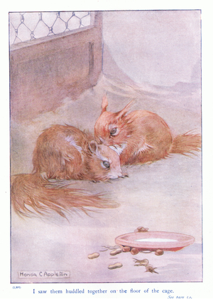 I saw them huddled together on the floor of the cage, illustration from 'More About the Squirrels' by Eleanor Tyrell, c.1915 (colour litho)