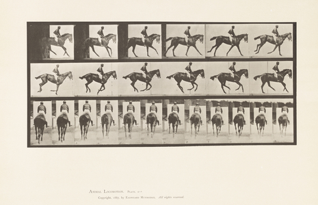 Plate 620. Canter; Saddle; Thoroughbred Bay Mare Annie 6., 1885 (collotype on paper)