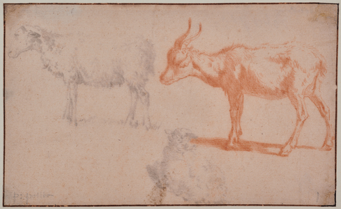 Two Sheep and a Goat (animal studies), 1625-54 (Chalk)