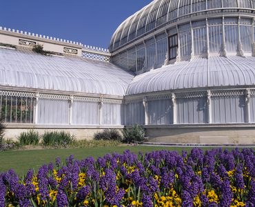 Belfast, Botanical Gardens, Exterior Shot (photo)