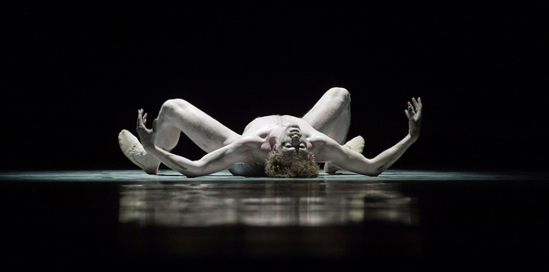 Nederlands Dans Theatre 2