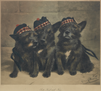 'Scots Tried and True' (lithograph)