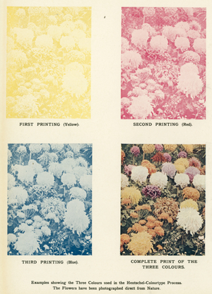 Examples showing the Three Colours used in the Hentschel-Colourtype Process (colour litho)