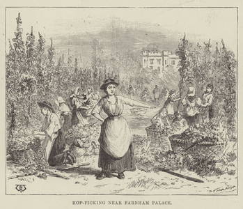 Hop-Picking near Farnham Palace (engraving)