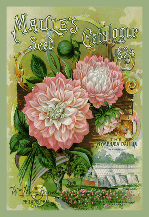 Maule's Seed Catalogue, 1894, Seeds - catalog Advertising