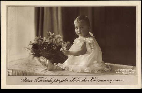 Prince Friedrich, youngest son of the Crown Prince couple