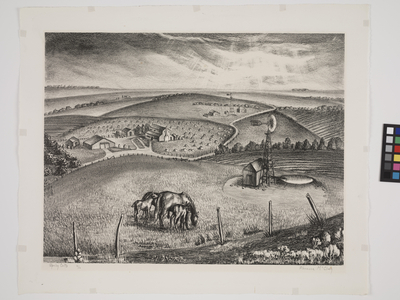 Spring Colts (litho)