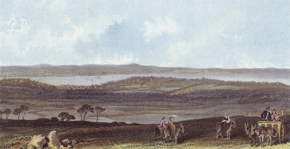 View from Ashey Down (colour litho)