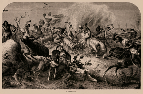 A Trek-Bokken (engraving)