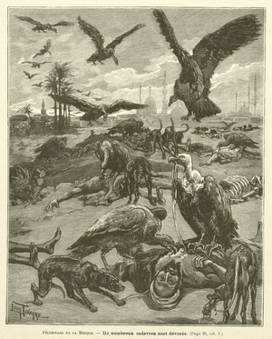 Pelerinage De La Mecque (engraving)