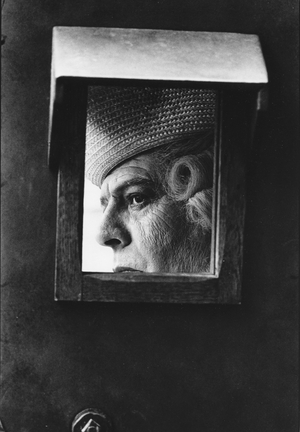 The Night of Varennes