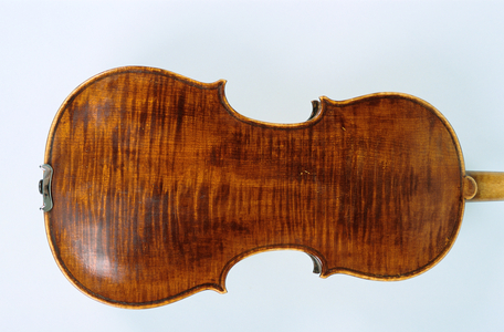 Close-up of back of