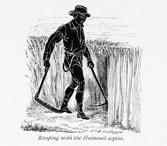 Reaping with the Hainault scythe