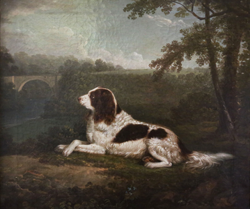 Grog' (oil on canvas)