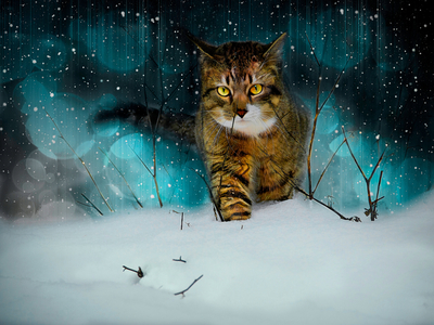 Making Tracks, 2019 (digital composite)