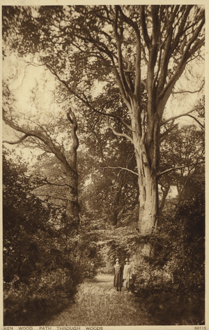 Ken Wood, Path Through Woods (b/w photo)