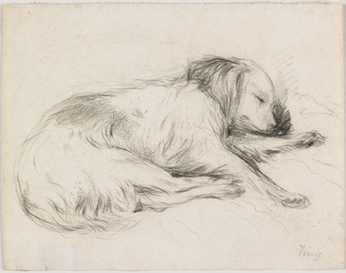 Sleeping Dog, c.1840 (graphite on paper) 