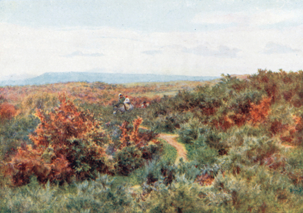 Blackdown from Witley Common (colour litho)