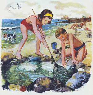 Searching a rock pool (colour litho)