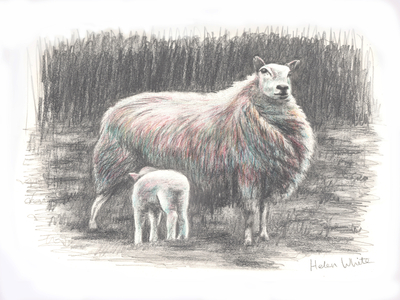 Proud, 2016 (pencil drawing)