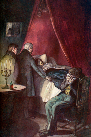 'Madame Bovary' by Gustave Flaubert, illustration from an English Translation, 1902 (print)