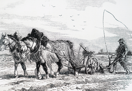 A horse-drawn plough