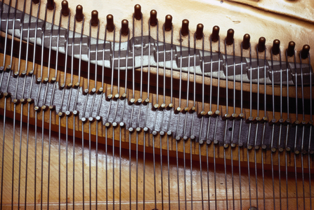 Piano - interior Tuning