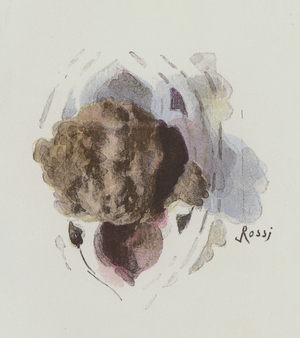 Illustration for Notre-Dame De Paris by Victor Hugo (colour litho)