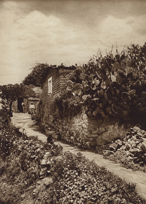 Mexico: Rincon pintoresco en San Angel D F (b/w photo)