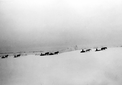 Winter battles, 1942 (b/w photo)