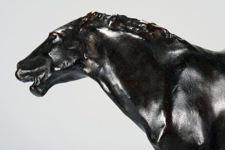Colt (bronze)