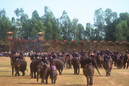 Procession, Elephant Round-Up, Surin, Thailand (photo)