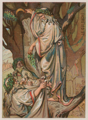 The Sacred Mistletoe (chromolitho)