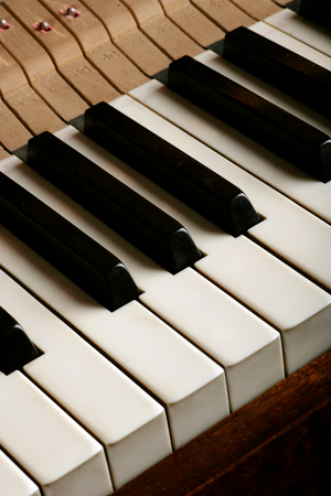 Piano keyboard  -