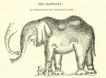 The Elephant, as delineated by Matthew Paris (engraving)